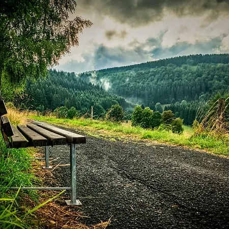 Queens Castle Apartman Winterberg