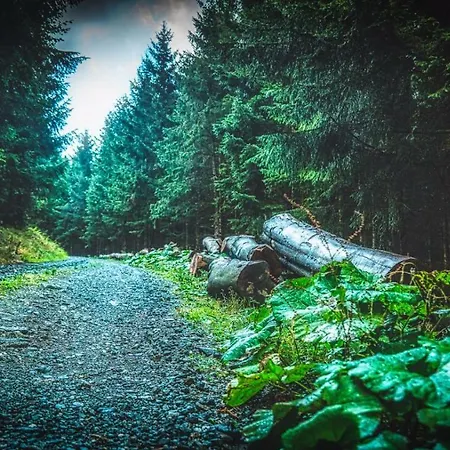 Apartman Queens Castle *