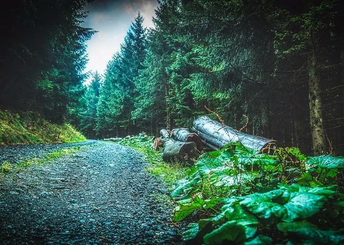 Apartment Queens Castle *